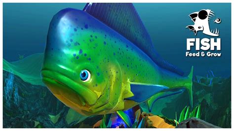 feed and grow fish deutsch.